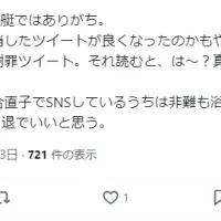 SNSの使い方に問題があると指摘する声も